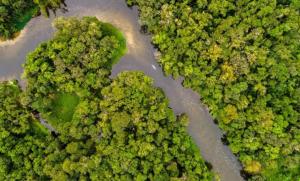 Ecuador es galardonado como Destino del Año en Turismo de Aventura en ITB Berlín 2026